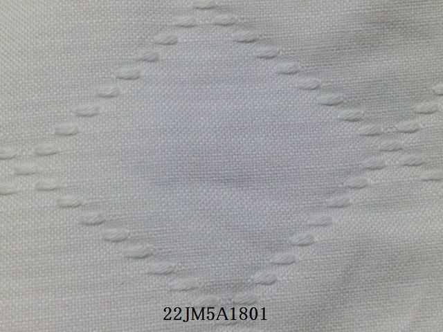 生地拡大2.jpg